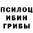 Псилоцибиновые грибы ЛСД actve