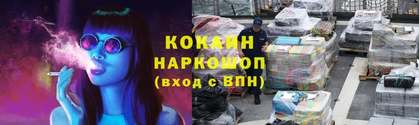 индика Каменногорск