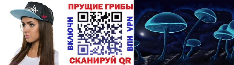 Галлюциногенные грибы Magic Shrooms  Белозерск 